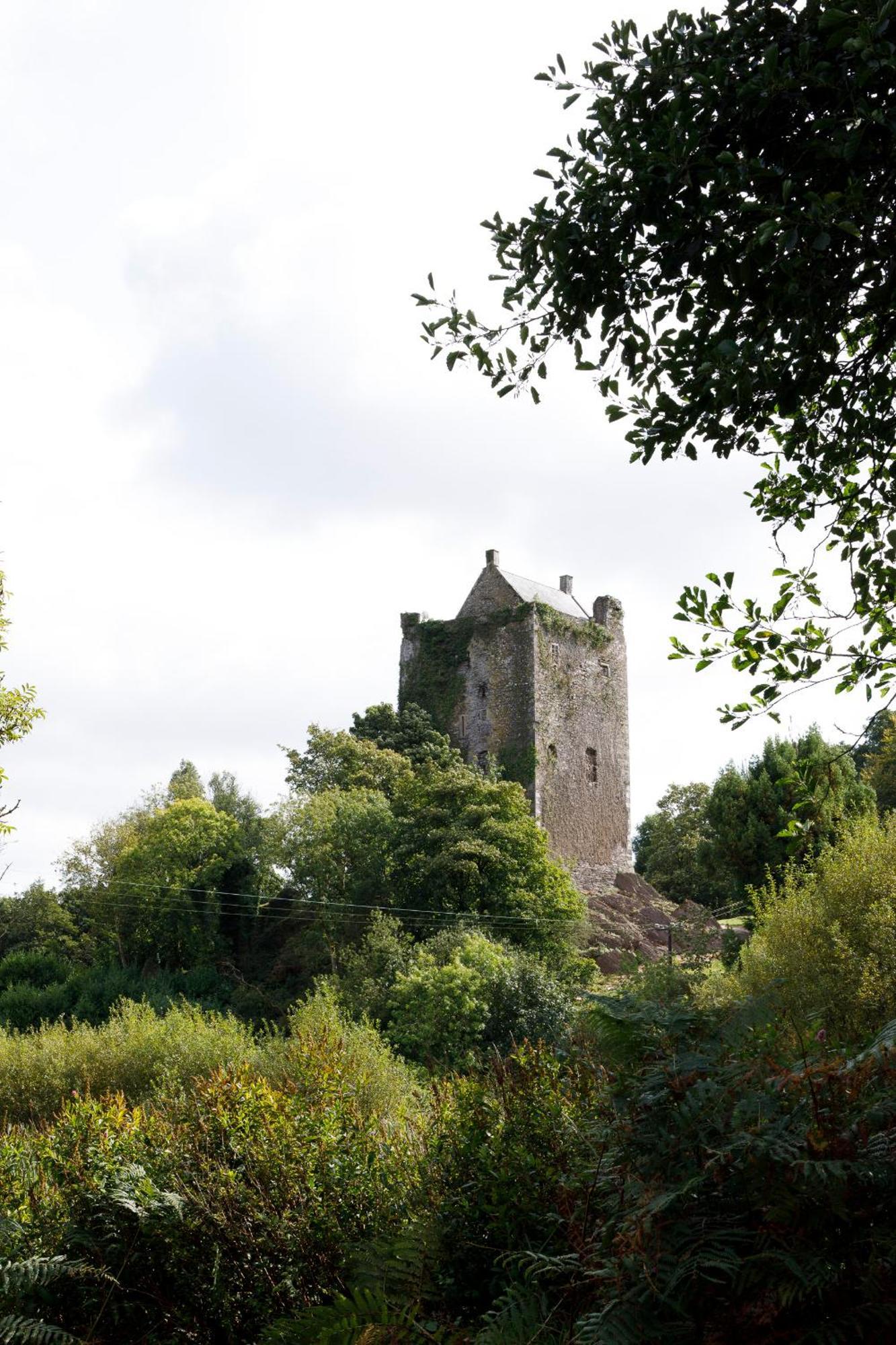 Dripsey Castle Estate Villa คอร์ก ภายนอก รูปภาพ