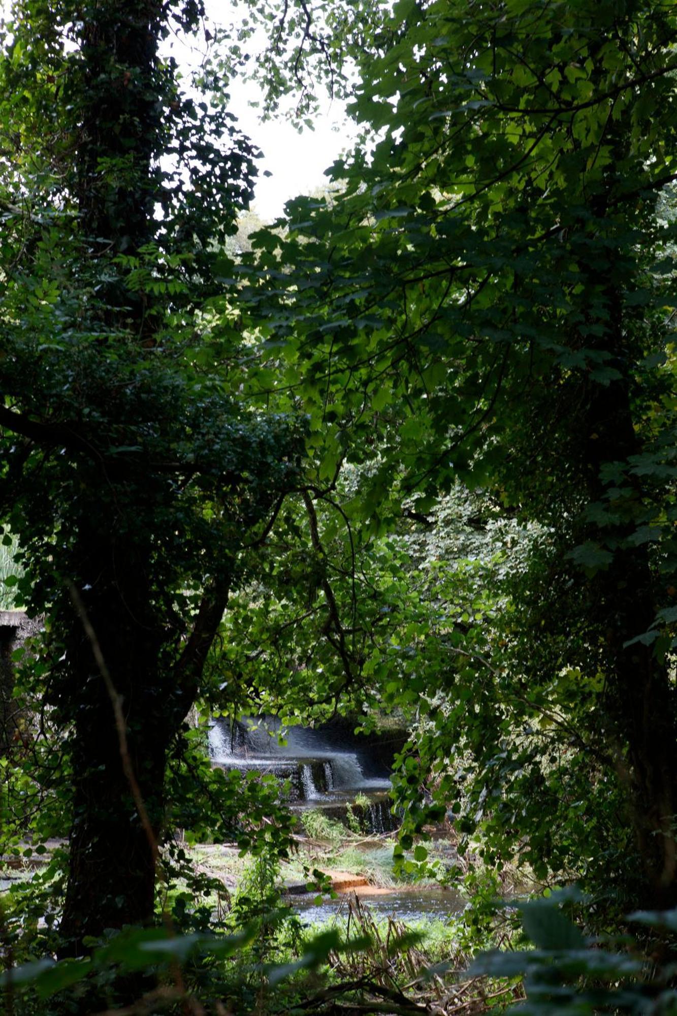 Dripsey Castle Estate Villa คอร์ก ภายนอก รูปภาพ