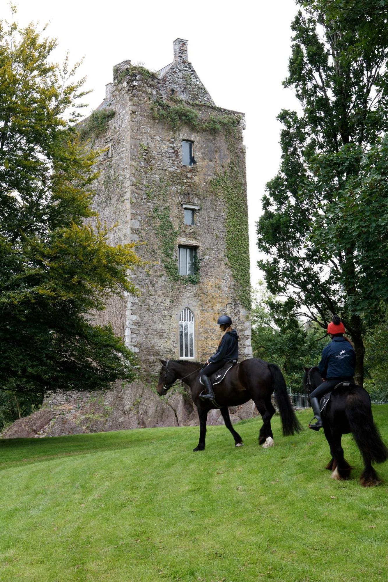 Dripsey Castle Estate Villa คอร์ก ภายนอก รูปภาพ