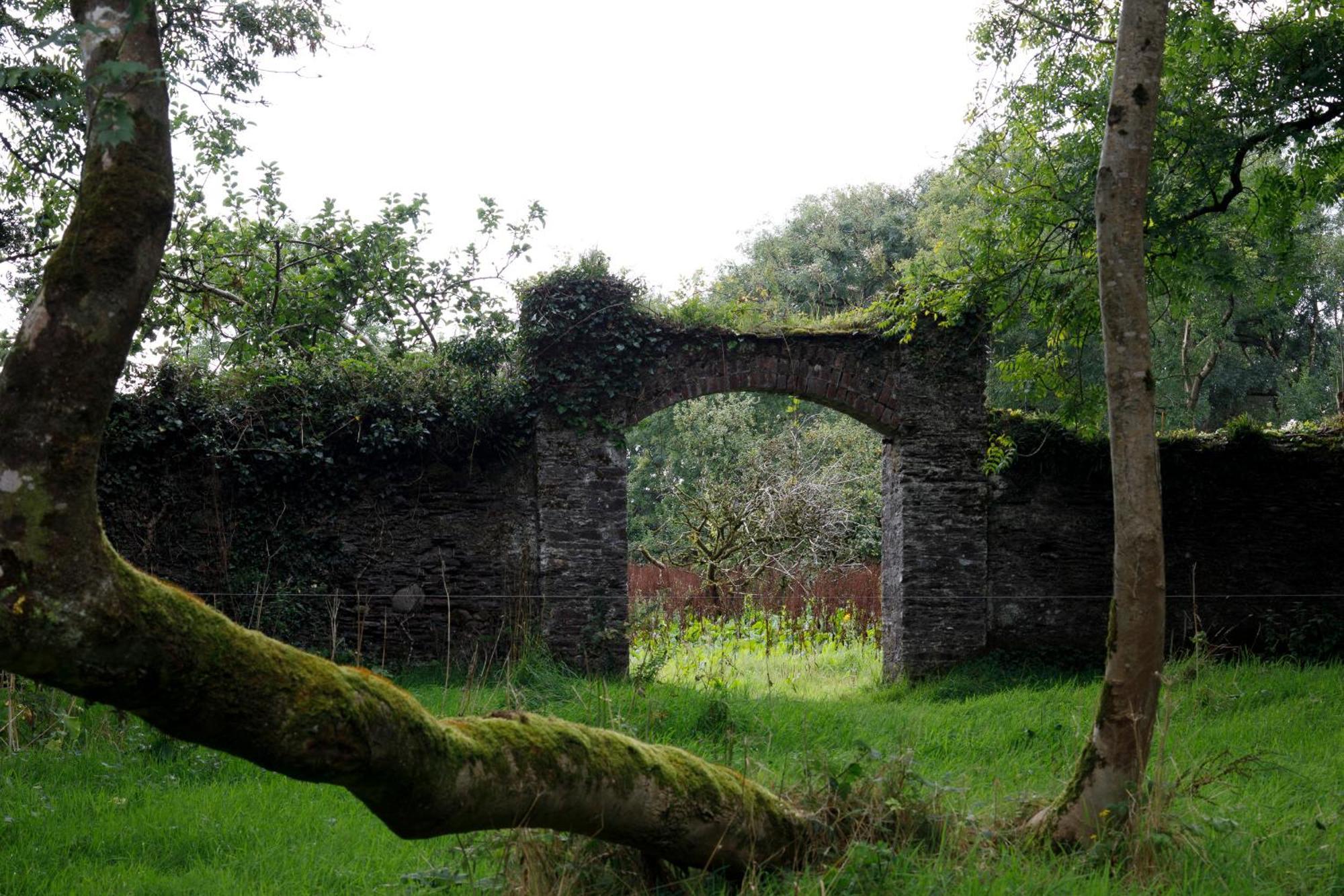 Dripsey Castle Estate Villa คอร์ก ภายนอก รูปภาพ