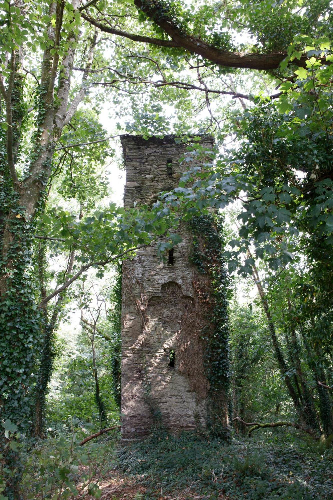Dripsey Castle Estate Villa คอร์ก ภายนอก รูปภาพ