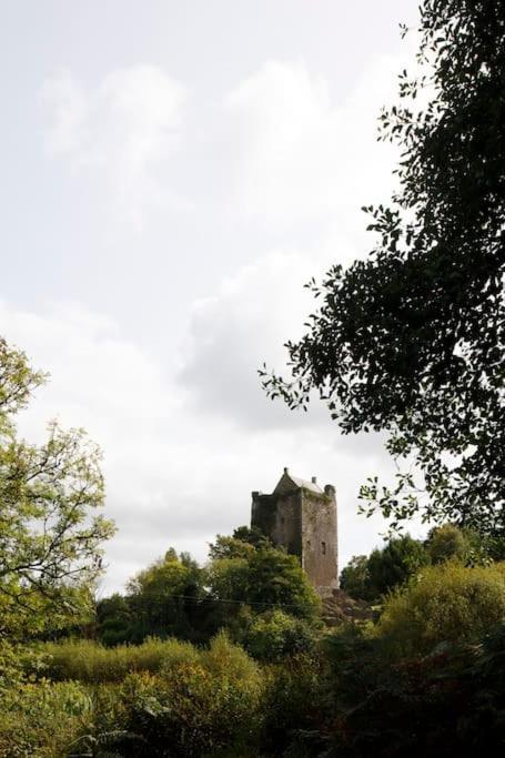 Dripsey Castle Estate Villa คอร์ก ภายนอก รูปภาพ